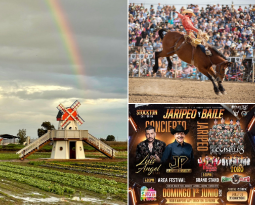 Things to do in the 209📍 cover photo collage