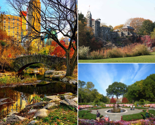 Central Park’s Gems cover photo collage