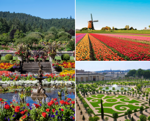 Breathtaking landscapes🌳 cover photo collage