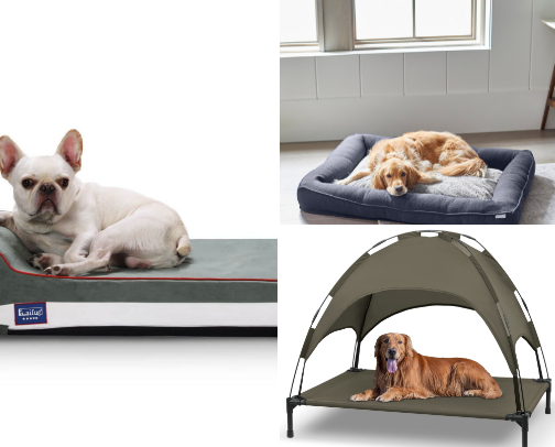 Pawsitively obsessed for Bougie dogs cover photo collage