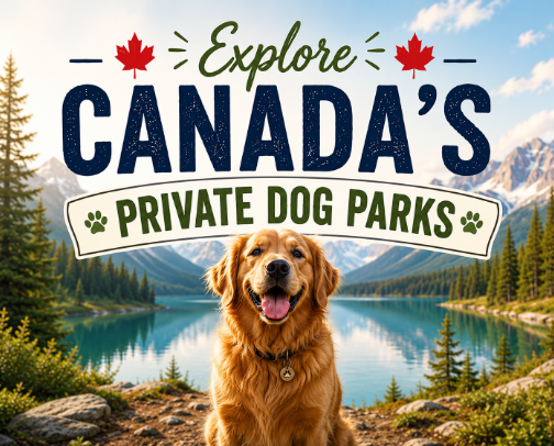 🇨🇦 Explore Canada's Private Dog Parks cover photo collage
