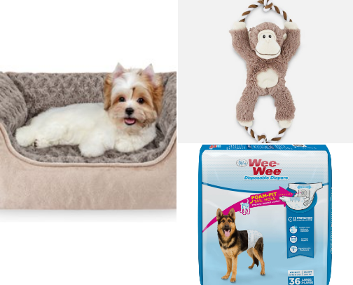 Dogs with no blog cover photo collage