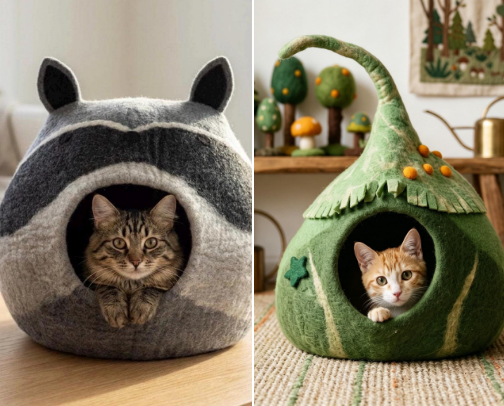The Coziest Cat Bed & Comfort Edition cover photo collage