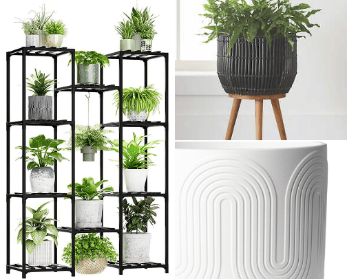 Green Thumb cover photo collage