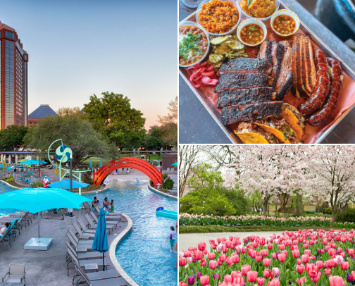 Dallas, Texas: The Perfect Travel Guide cover photo collage
