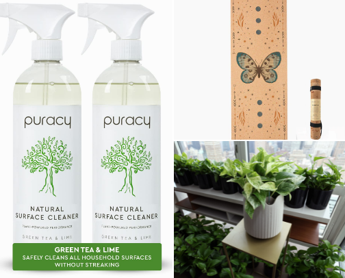 Gifts for the ECO Friendly Lover cover photo collage