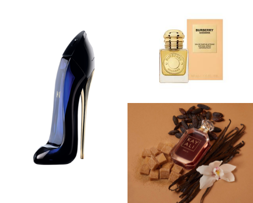 Best perfumes cover photo collage