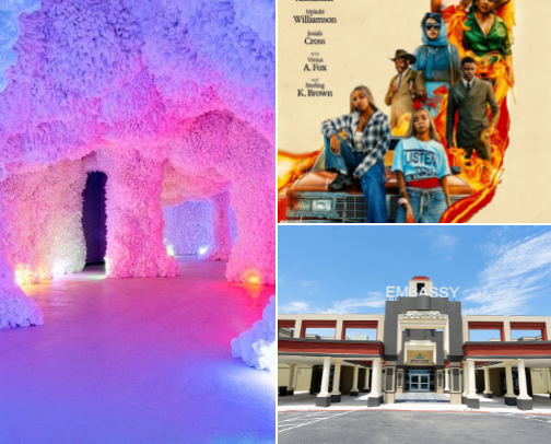 Texas- San Antonio: Things to do/ Places to go cover photo collage