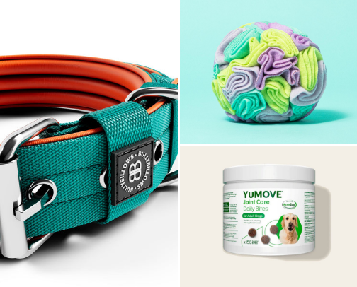 Must-Haves for Pet Owners cover photo collage