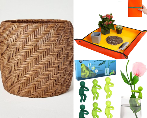 A list for the plant moms 🌱🪴 cover photo collage