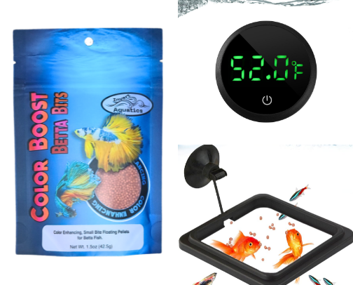 Betta must haves for your aquarium cover photo collage