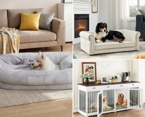 Indoor Dog Favorites cover photo collage