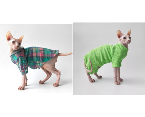 Spring Sphynx Cat Clothes: Soft, Breathable Skin-Friendly Fashion cover photo collage