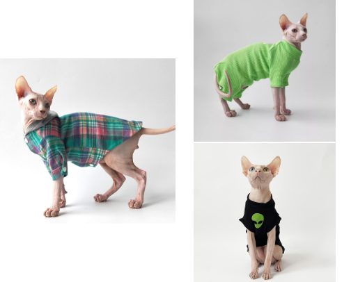 Spring Sphynx Cat Clothes: Soft, Breathable Skin-Friendly Fashion cover photo collage
