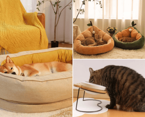 Pet collection  🦁 cover photo collage