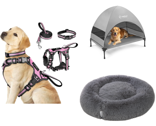 Most Top Dog Essentials cover photo collage