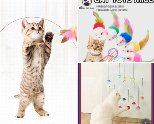 Fur Babies Different  Items Collections cover photo collage