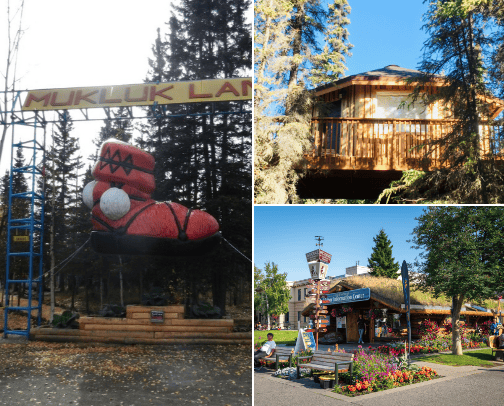 My Alaska Favorites cover photo collage