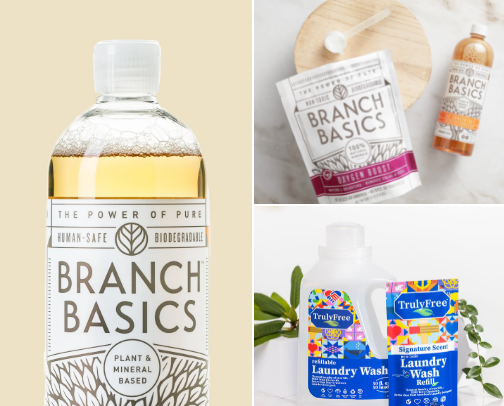 Non-Toxic Cleaning Products cover photo collage