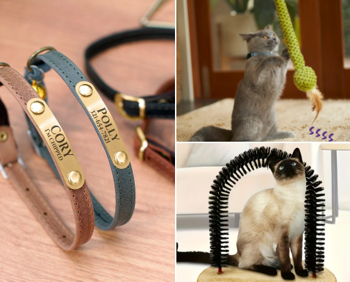 Purr-fect Cat Essentials For A Happy, Cozy Life 🐾 cover photo collage