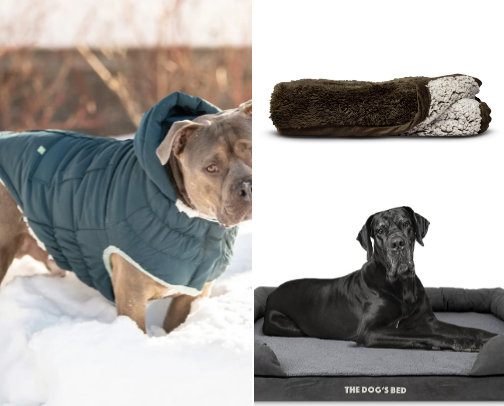 Dog Supplies cover photo collage