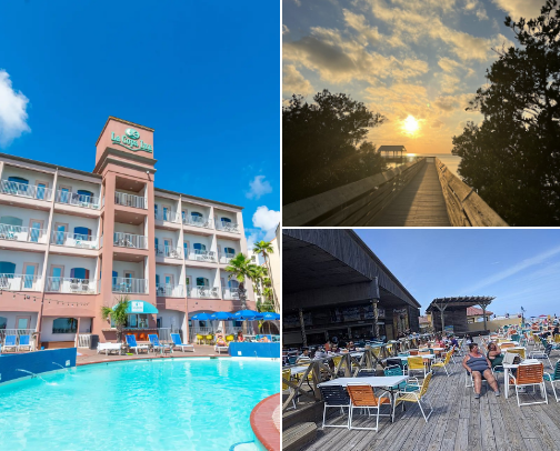 Things To Do in South Padre Island, TX cover photo collage