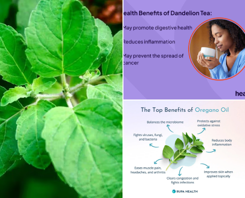 Herbs for life cover photo collage