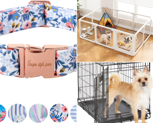 Bringing Puppy Home-Cavapoo Edition cover photo collage