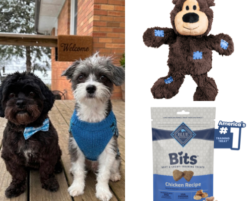 Life with Two Dogs: My Must-Have Favorites cover photo collage