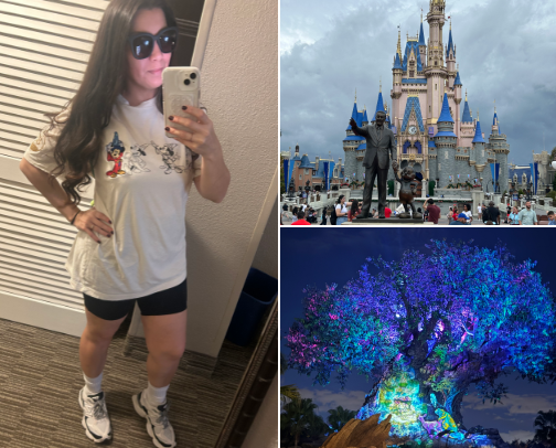 Disney Park Essentials cover photo collage