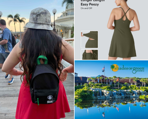 Disney Park Essentials cover photo collage