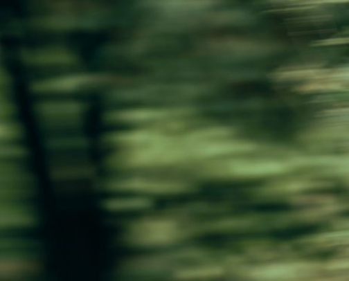 °❀⋆.ೃ࿔Skin barrier support°❀⋆.ೃ࿔*:･ cover photo collage