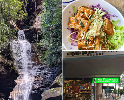 Things to do in the Blue Mountains - local Approved! cover photo collage