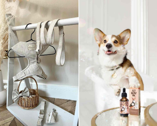 Dogs thing🐶 cover photo collage