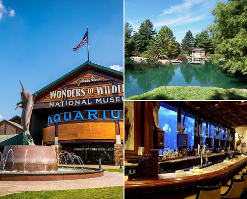 Nixa and Area Favorite Places & Spaces cover photo collage