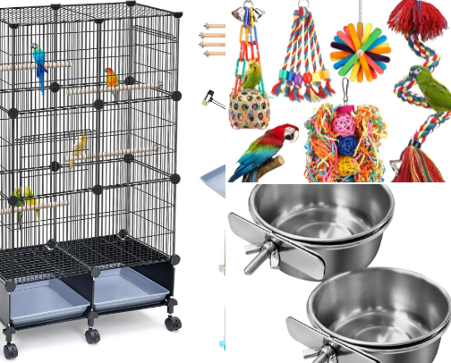 Budgie Necessities!! cover photo collage