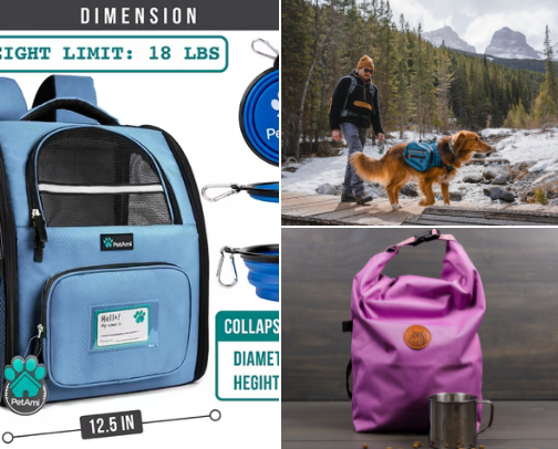 Traveling Dogs 🐾✈️🚗🚍🚲🐾 cover photo collage