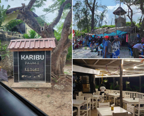 Staicy’s Travel Diary ✈️ cover photo collage