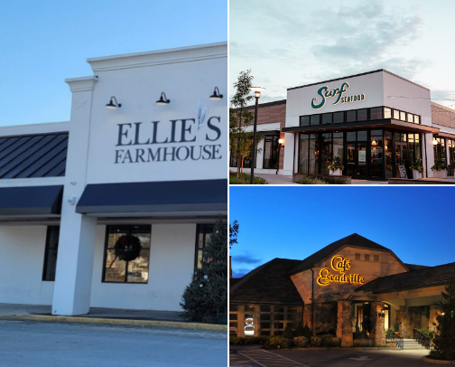 My top local recs cover photo collage