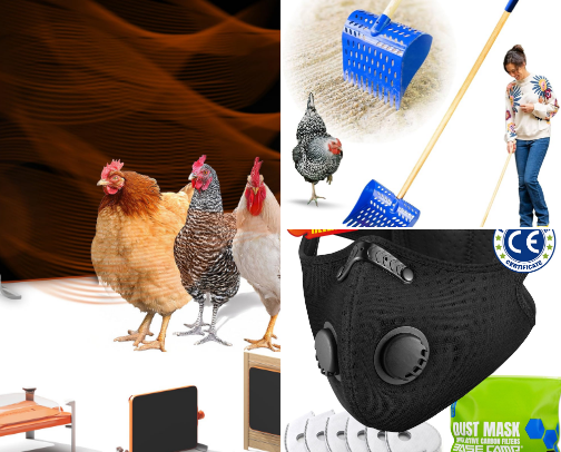 Chicken Essentials cover photo collage
