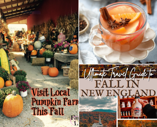 🍂 All Things Fall: Cozy Must-Dos & Must-Haves cover photo collage