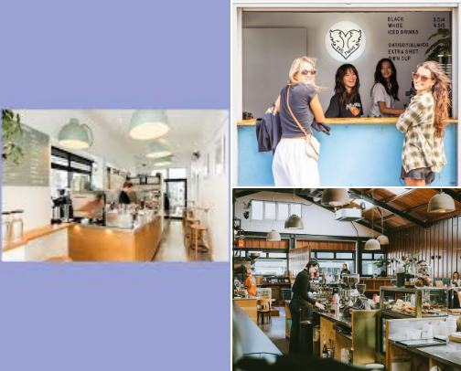Matcha In The World's Windiest City cover photo collage