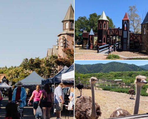 Santa Ynez Valley Favorites From a Local cover photo collage