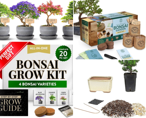 Bonsai Trees & Starter Kits: 18 Bestsellers for Tiny Living Art 🌳 cover photo collage