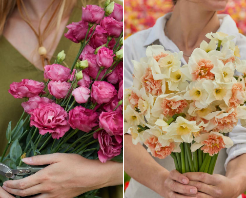 Bloom & Gather: Favorite Flowers from My Cutting Garden cover photo collage