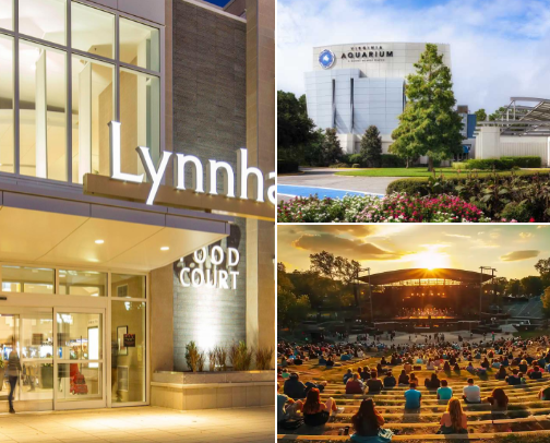 What to do in the various parts of Virginia cover photo collage