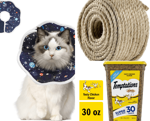 All things that you need for cat+things they realy love cover photo collage