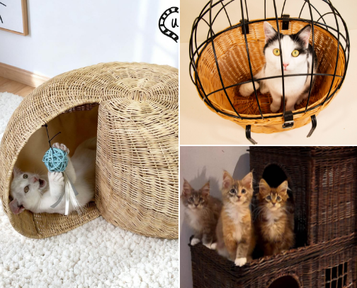 Stylish & Natural Rattan Essentials for Pets. cover photo collage