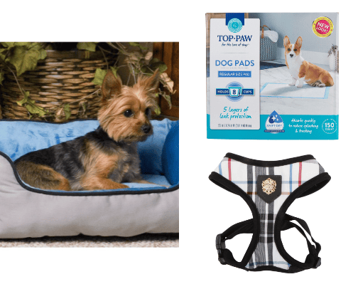 Practical Puppy Protocols cover photo collage