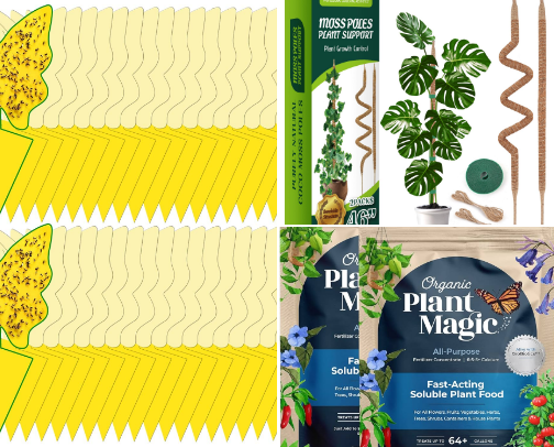Indoor Plant Momma Essential cover photo collage